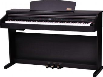 Цифровое фортепиано Artesia DP-10e Rosewood